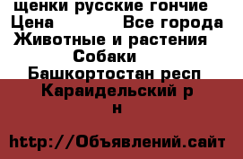 щенки русские гончие › Цена ­ 4 000 - Все города Животные и растения » Собаки   . Башкортостан респ.,Караидельский р-н